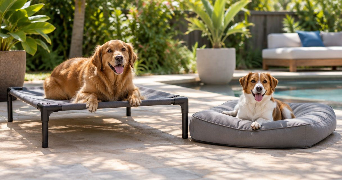 Is a raised dog bed better than a flat one for hot climates?