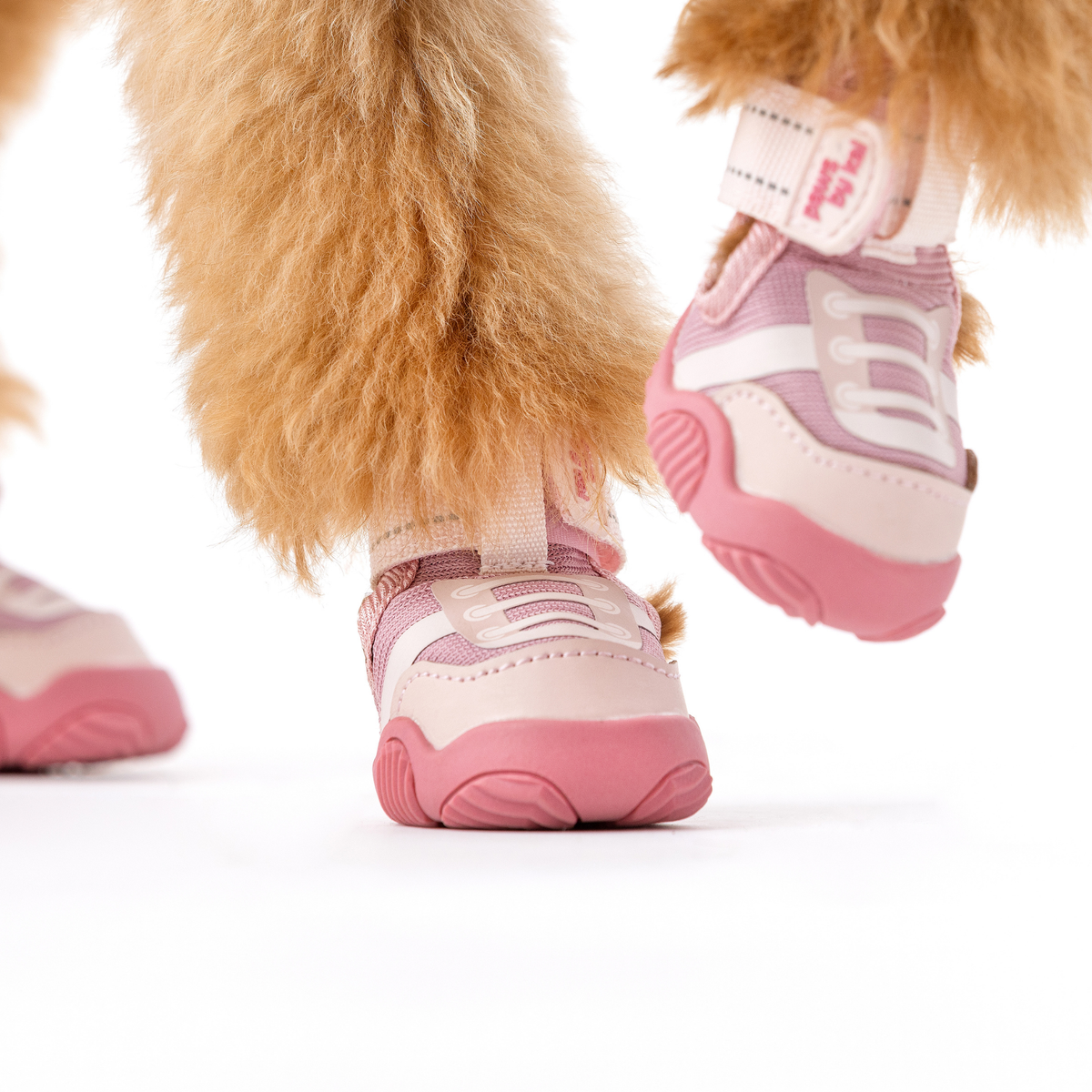 Dog Sport Sneakers – Anti-Slip, All-Season Shoes