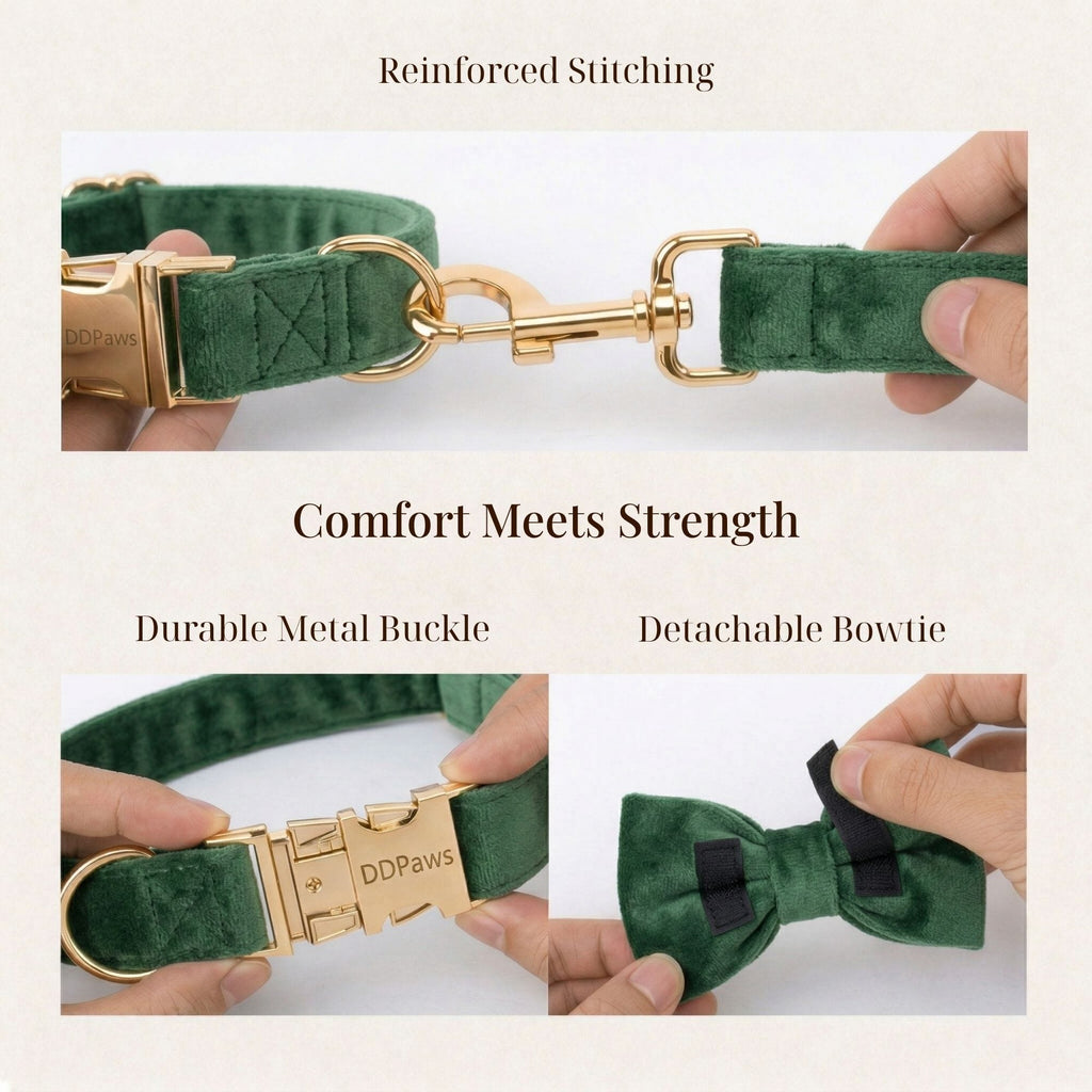 Forest Green Velvet Dog Harness Set – Personalized No-Pull Harness, Leash & Collar