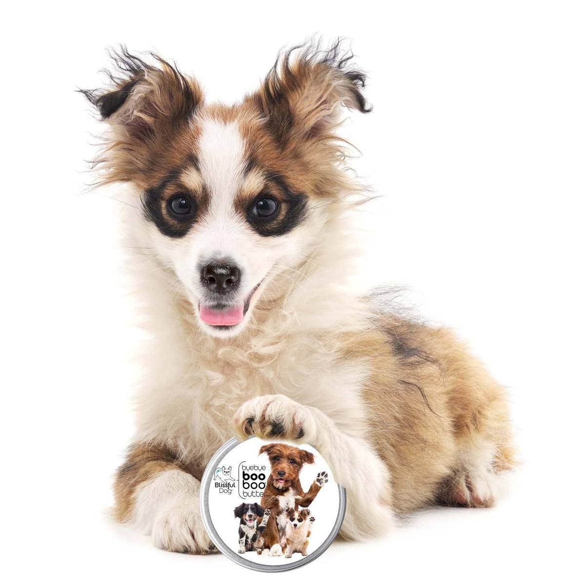 3 Cute Puppies Boo Boo Butter – Natural Healing Balm for Puppies | EverstockPets