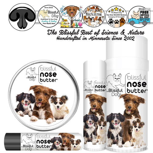 3 Cute Puppies Nose Butter – Moisturizing Balm for Puppy Noses | EverstockPets