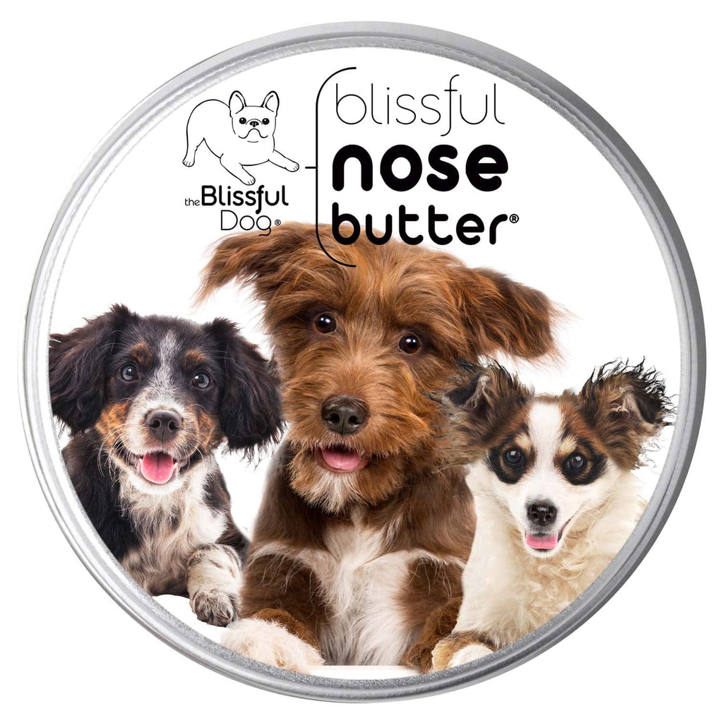 3 Cute Puppies Nose Butter – Moisturizing Balm for Puppy Noses | EverstockPets