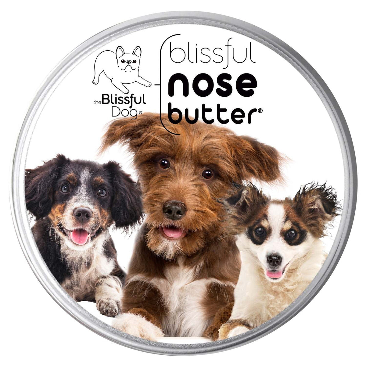 3 Cute Puppies Nose Butter – Moisturizing Balm for Puppy Noses | EverstockPets