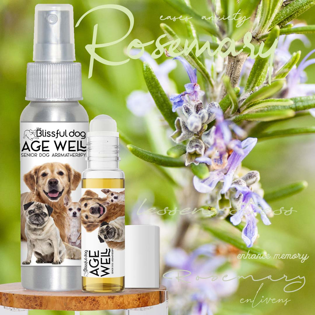 3 Old Friends Age Well Dog Aromatherapy – Calming Spray for Senior Dogs | EverstockPets
