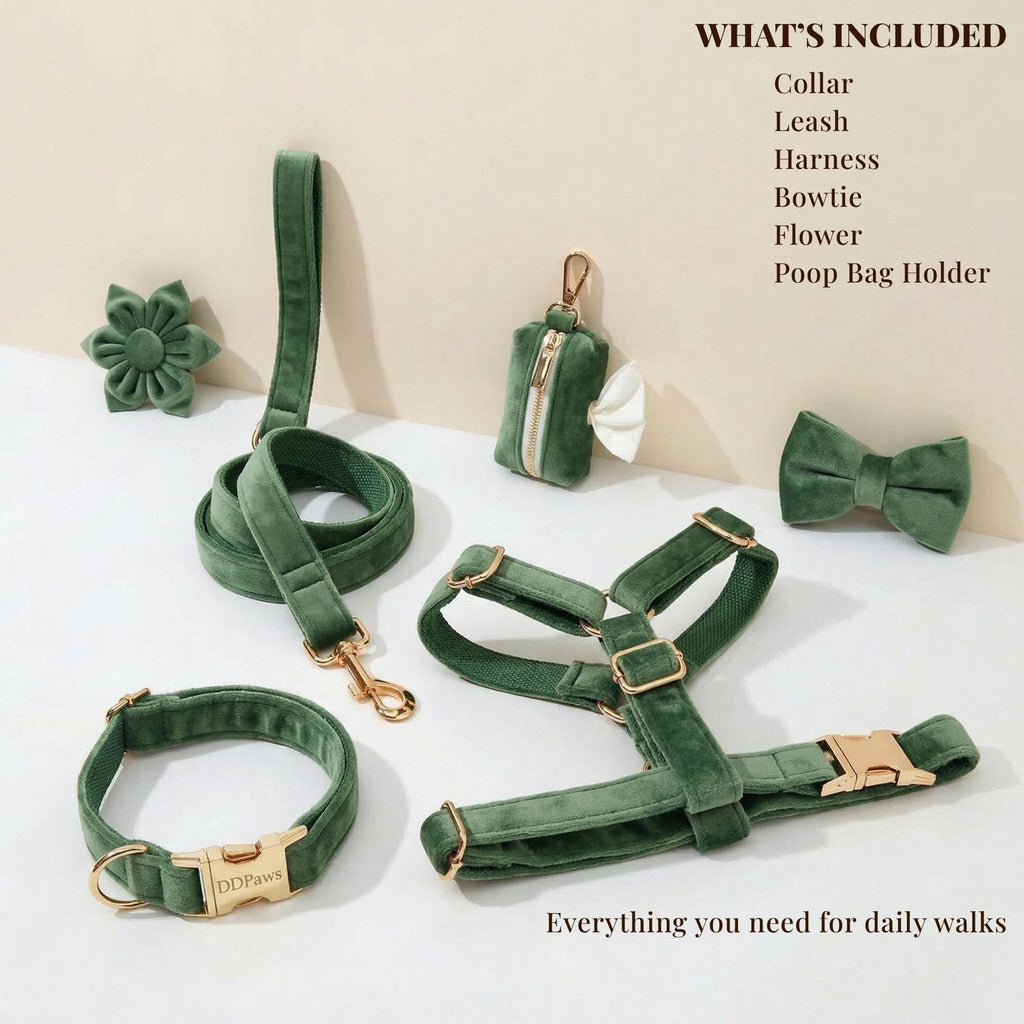 Forest Green Velvet Dog Harness Set – Personalized No-Pull Harness, Leash & Collar