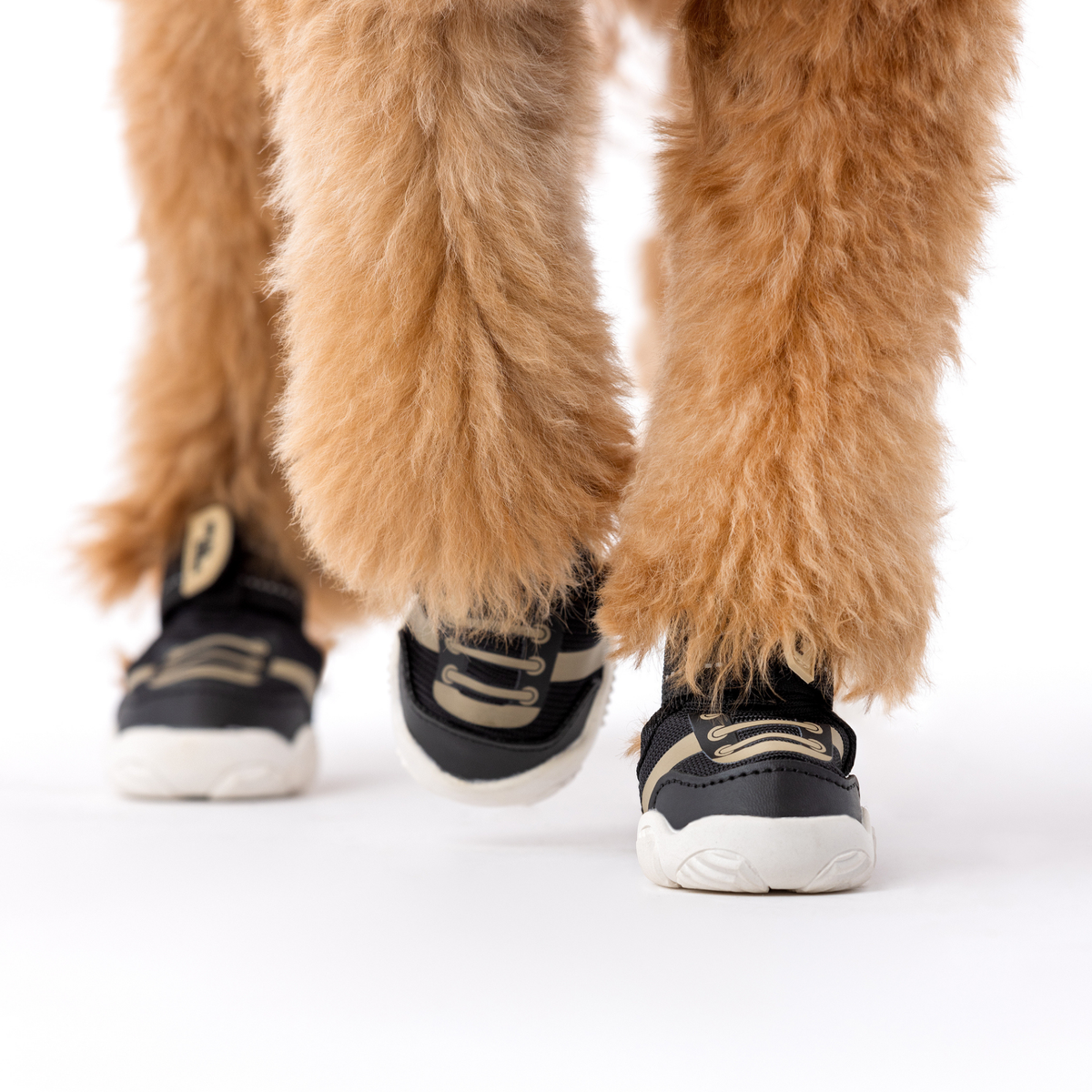 Dog Sport Sneakers – Anti-Slip, All-Season Shoes