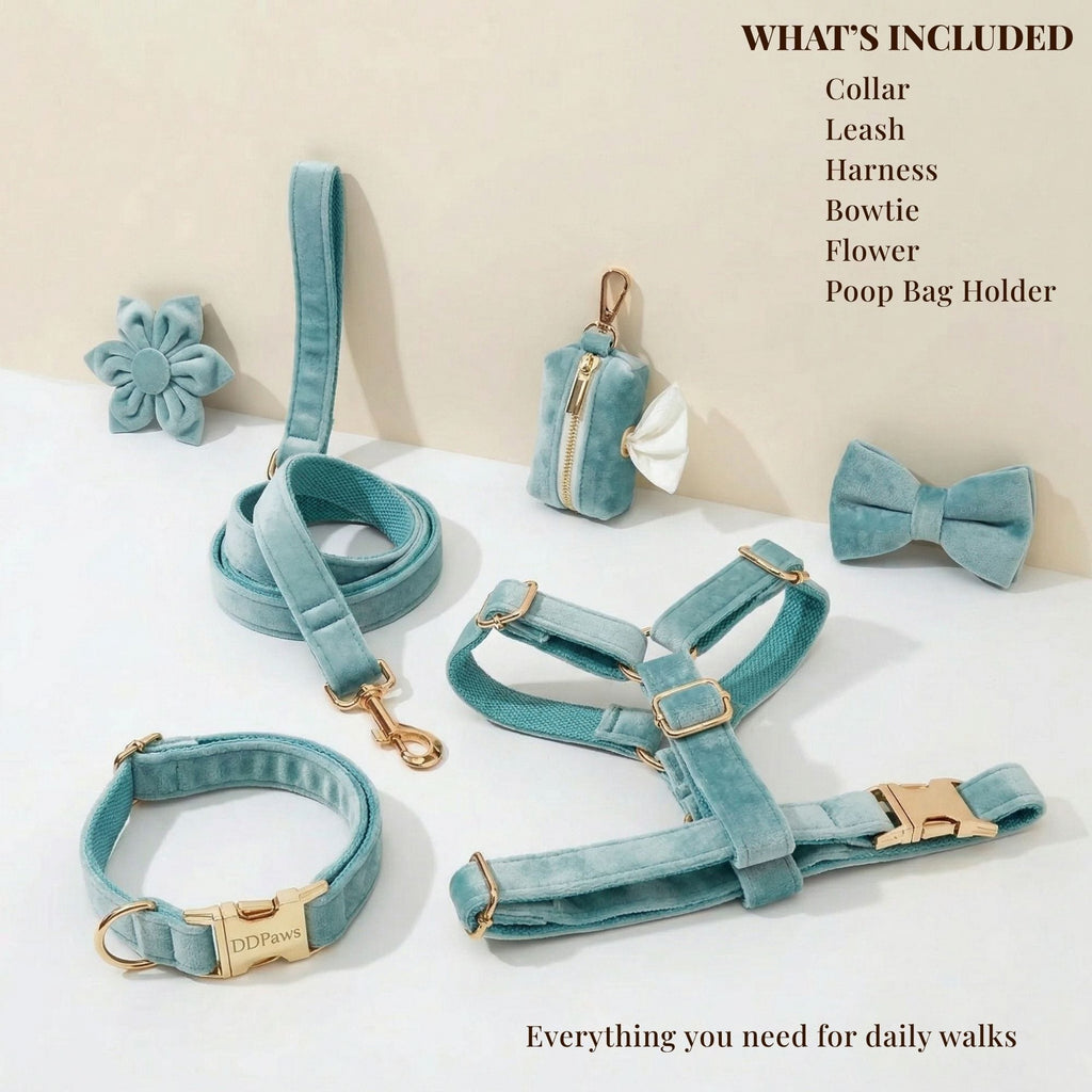 Green Ocean Velvet Dog Harness Set – Personalized No-Pull Harness, Leash & Collar