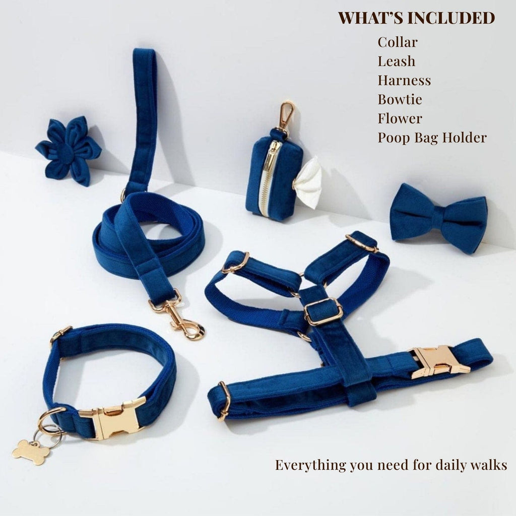 Blue Velvet Dog Harness Set – Personalized No-Pull Harness, Leash & Collar