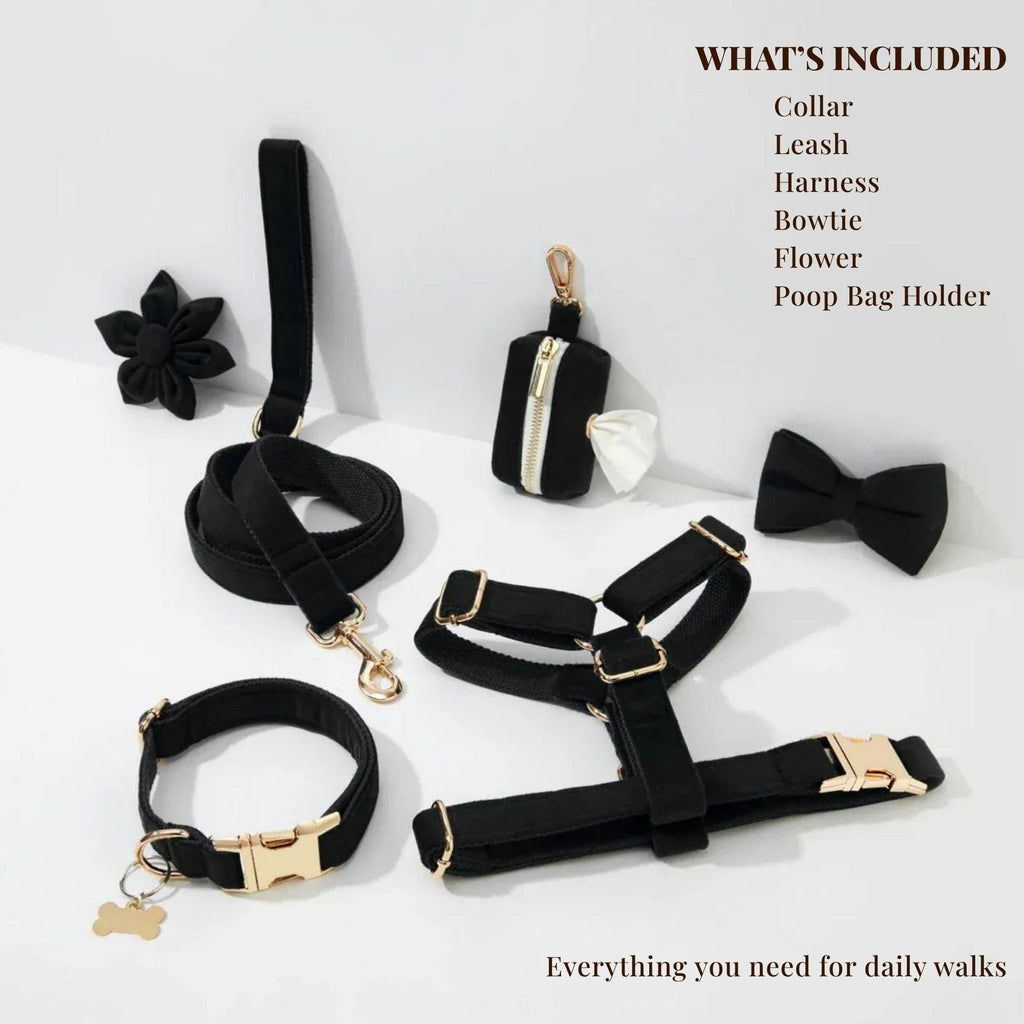 Black Velvet Dog Harness Set – Personalized No-Pull Harness, Leash & Collar