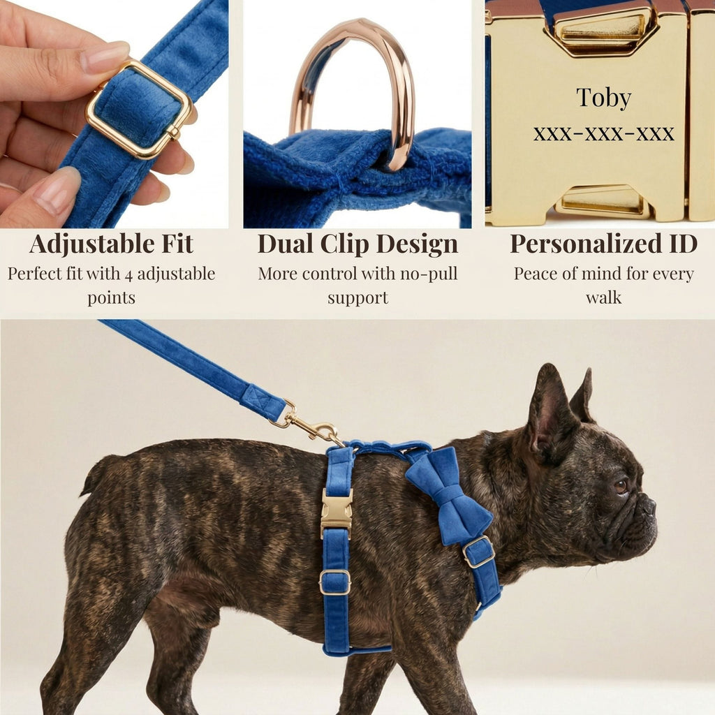 Blue Velvet Dog Harness Set – Personalized No-Pull Harness, Leash & Collar