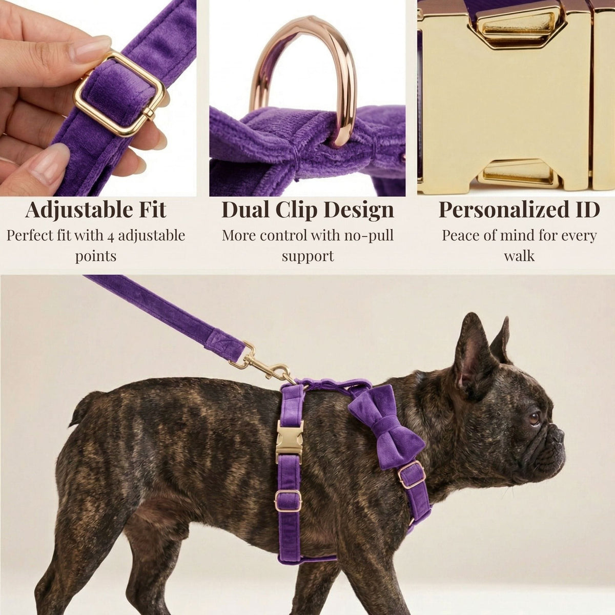 Purple Velvet Dog Harness Set – Personalized No-Pull Harness, Leash & Collar