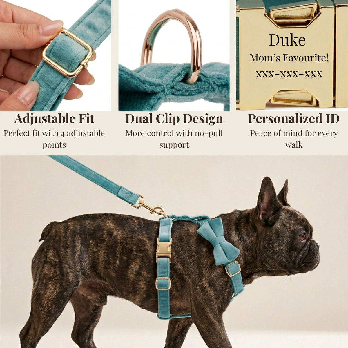 Turquoise Stone Velvet Dog Harness Set – Personalized No-Pull Harness, Leash & Collar