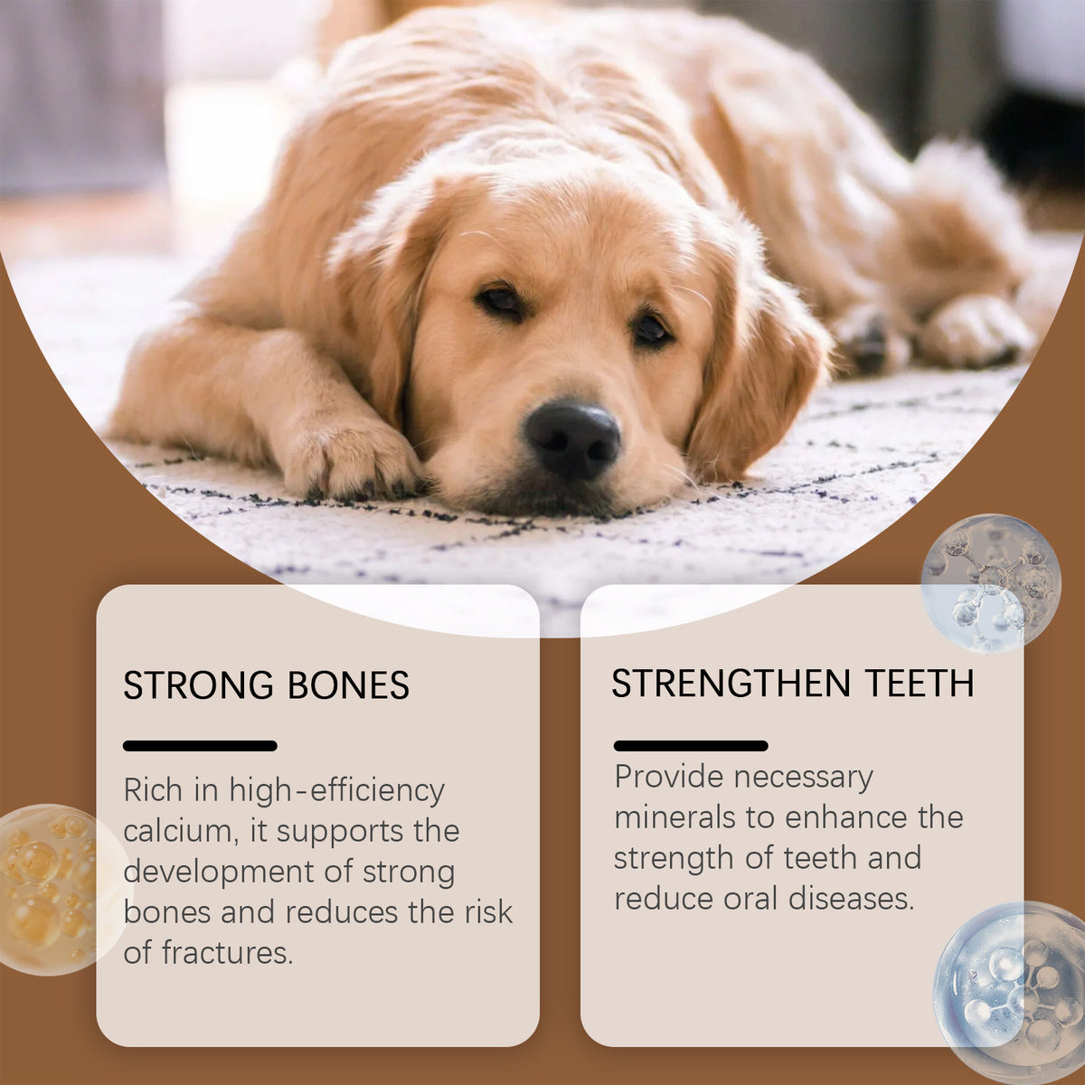 Milk Calcium Tablets For Dogs Vitamin Supplements For Pets Oral Care Diet Healthy Nutrition Calcium Tablets