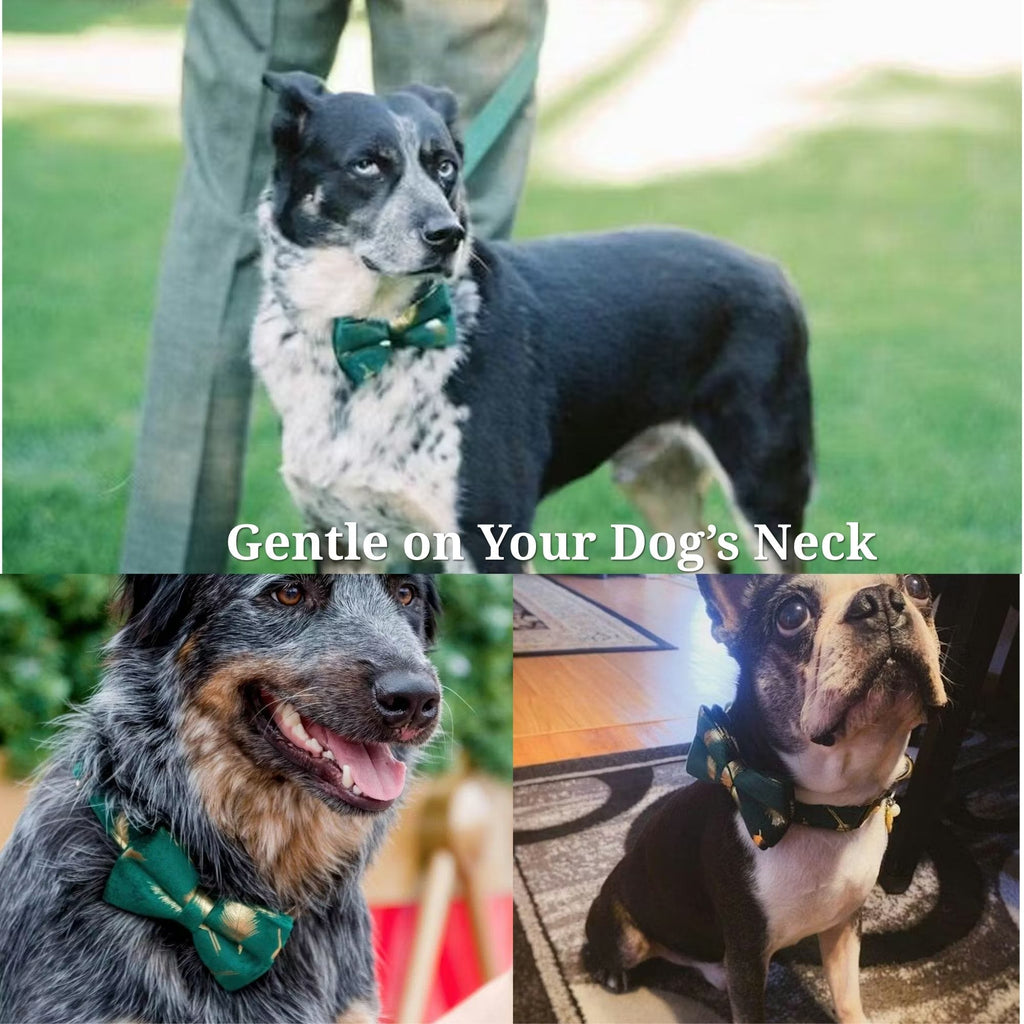 Green Feather Velvet Dog Harness Set – Personalized No-Pull Harness, Leash & Collar