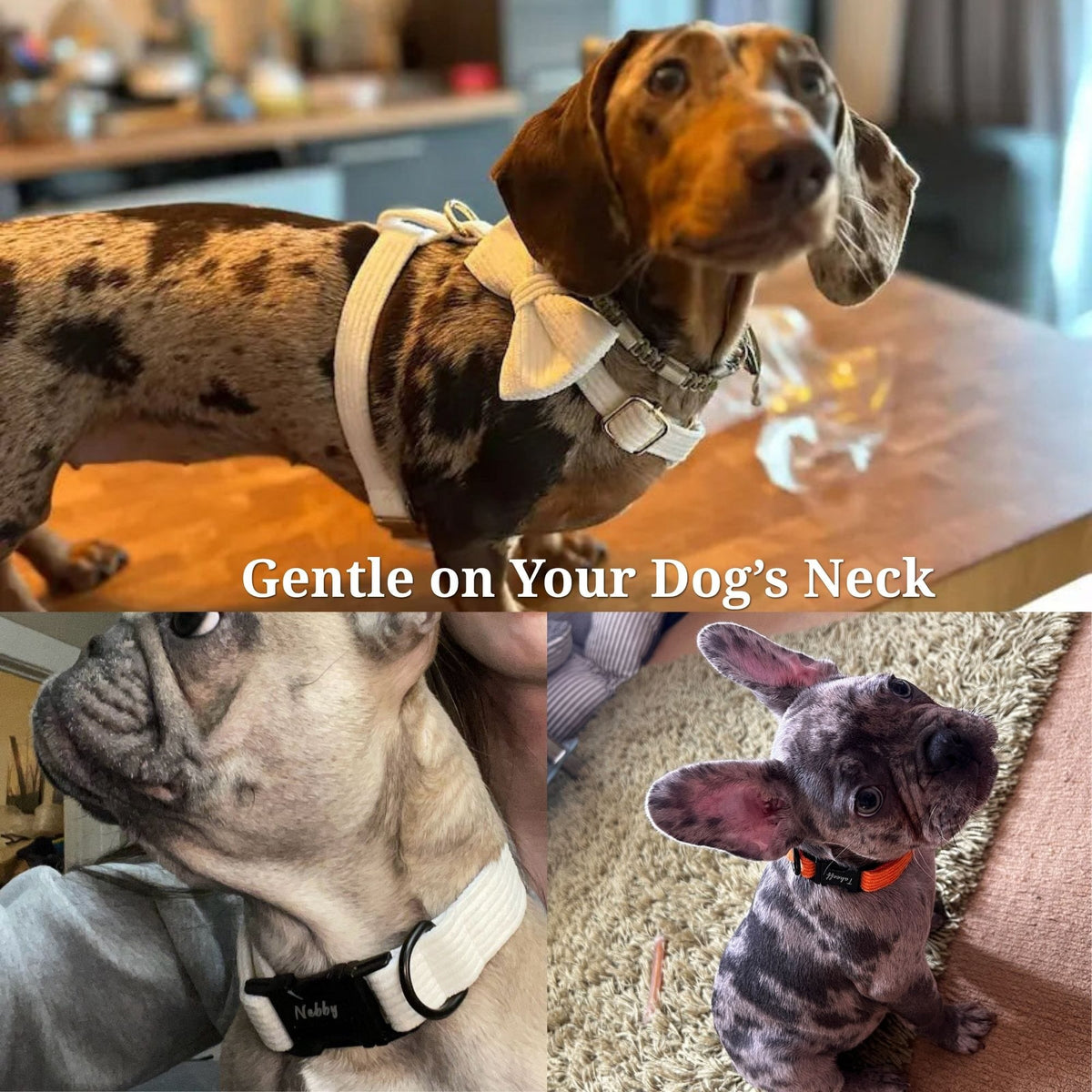 White Corduroy Dog Harness Set – Personalized No-Pull Harness, Leash & Collar