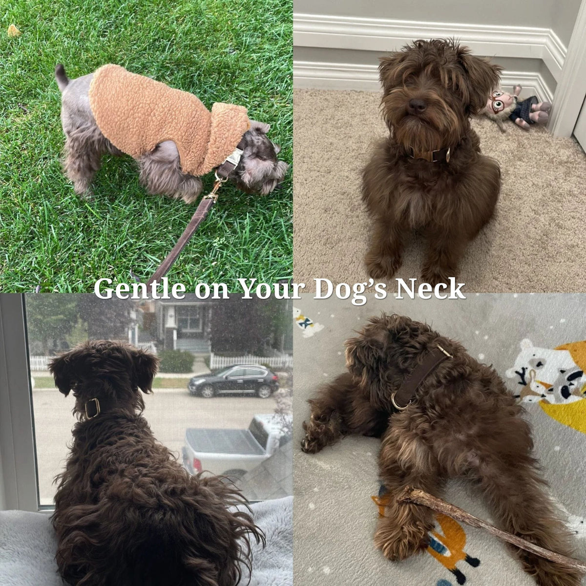 Dark Brown Velvet Dog Harness Set – Personalized No-Pull Harness, Leash & Collar
