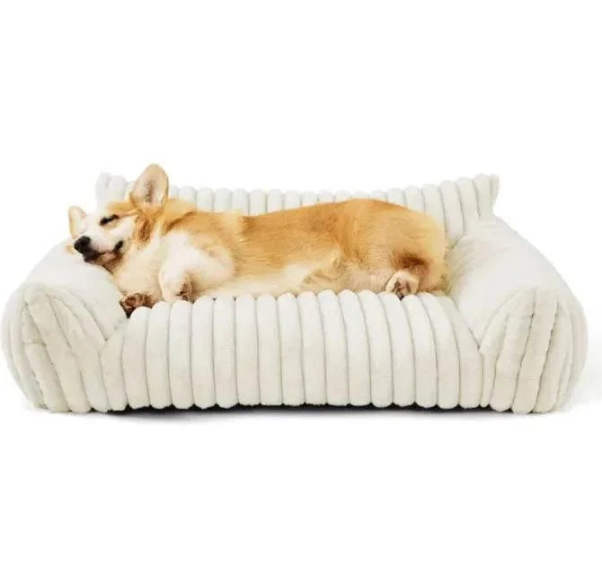Snoozy Dream Orthopedic Dog Bed – Plush, Machine-Washable, Sizes S–L