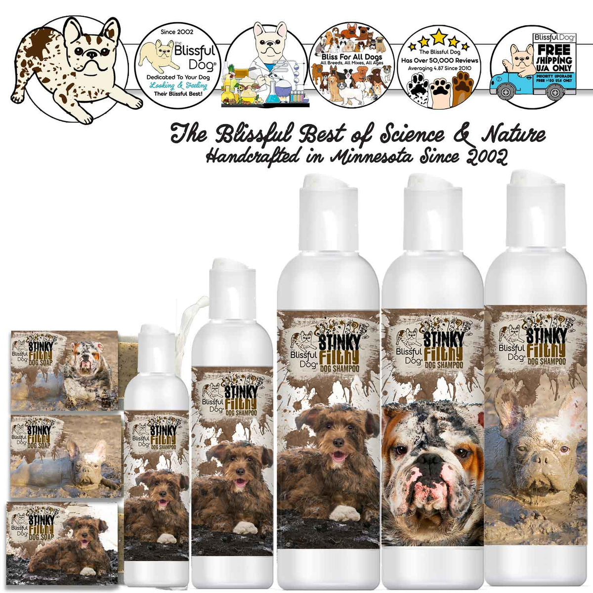 Stinky Filthy Dog Shampoo & Soap – Heavy-Duty Odor & Dirt Removal | EverstockPets