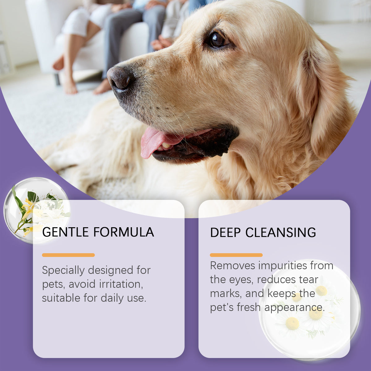 Gentle Pet Eye Wash for Dogs & Cats