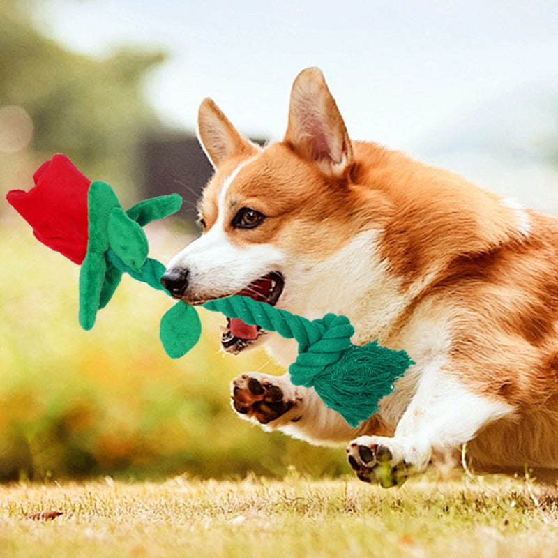 Rose Rope Dog Toy with Crinkle Sound – 35 cm Tug & Fetch Toy, Red, Yellow or Pink