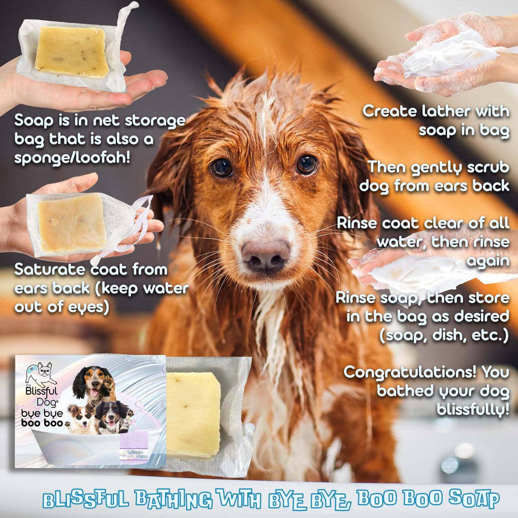 Bye Bye Boo Boo™ Dog Shampoo & Bar Soap – Soothing Skin Relief Wash | EverstockPets
