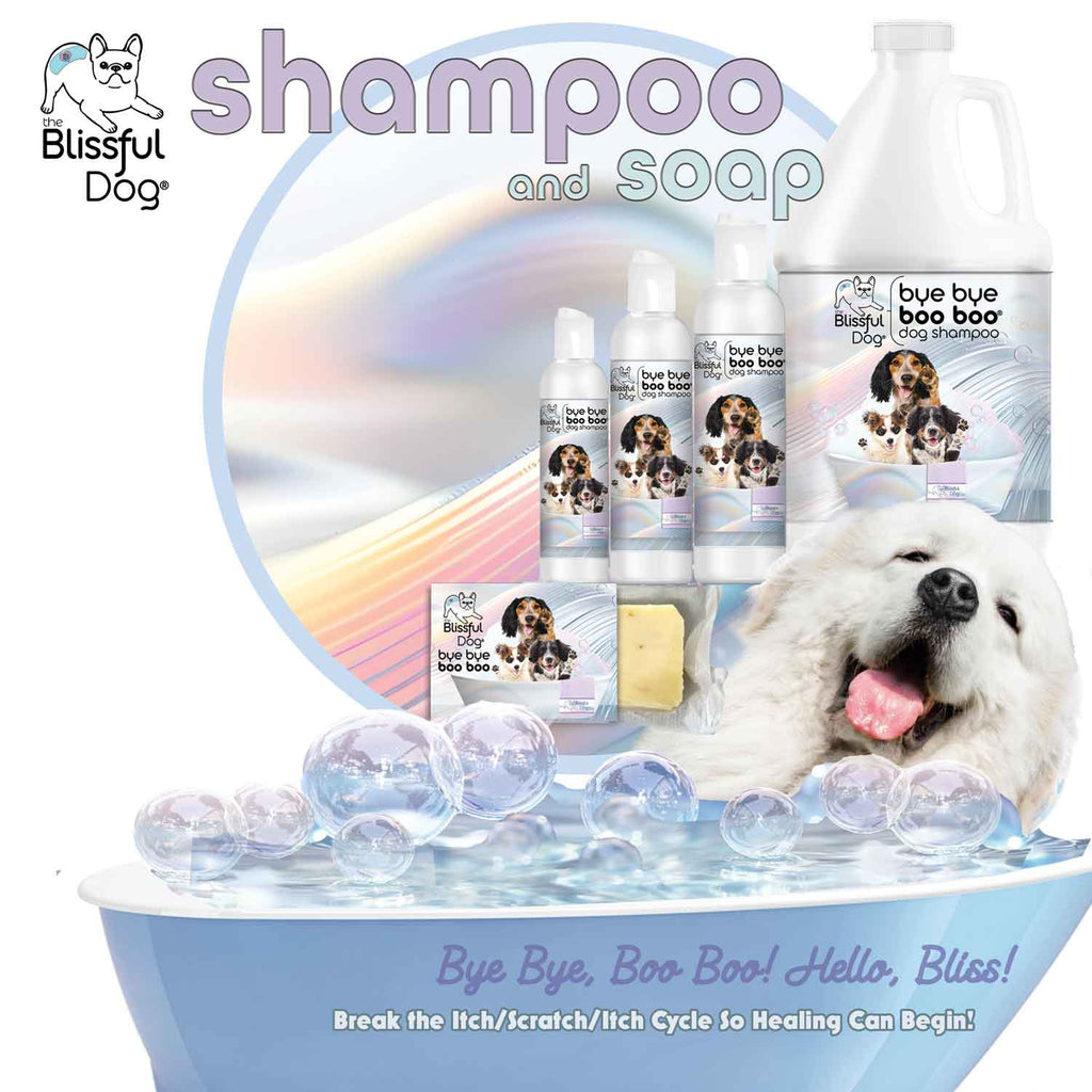 Bye Bye Boo Boo™ Dog Shampoo & Bar Soap – Soothing Skin Relief Wash | EverstockPets