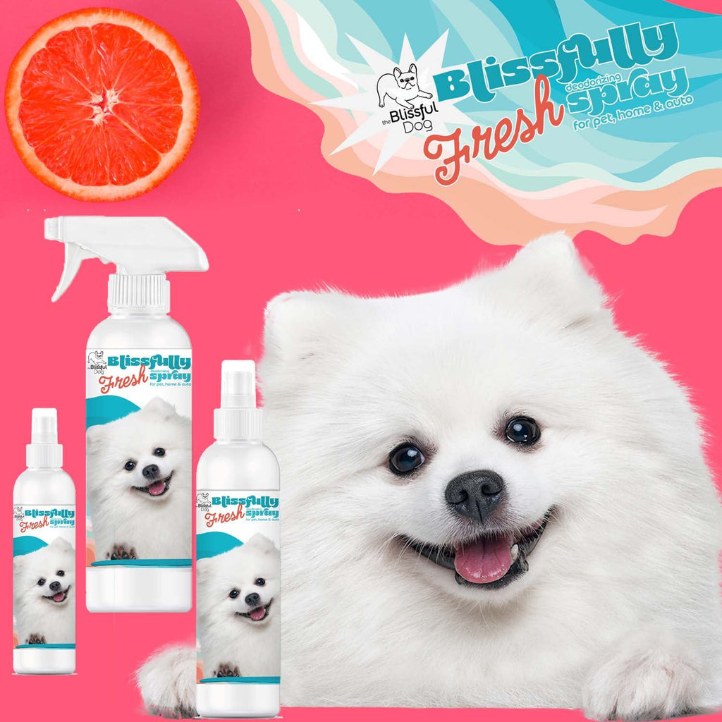 Blissfully Fresh™ Deodorizing Spray – Odor-Eliminating Spray for Dogs | EverstockPets