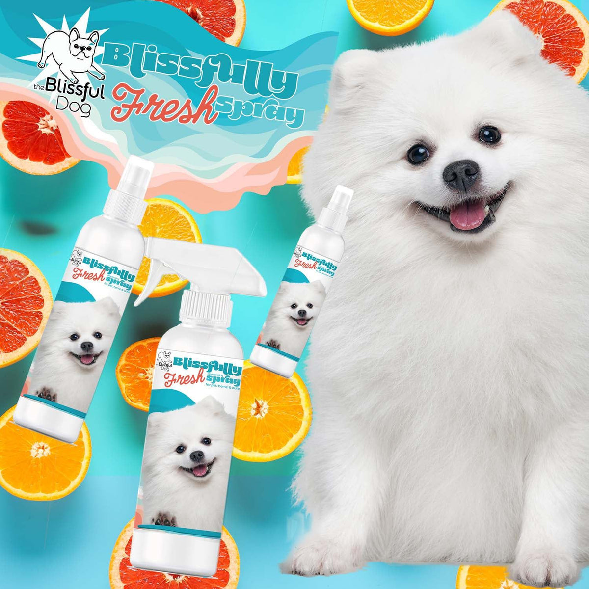 Blissfully Fresh™ Deodorizing Spray – Odor-Eliminating Spray for Dogs | EverstockPets
