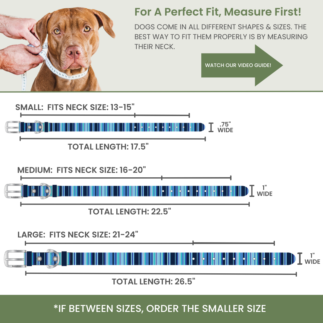 Rubyloo Waterproof Dog Collar – Washable, Stink-Proof & Quick-Dry