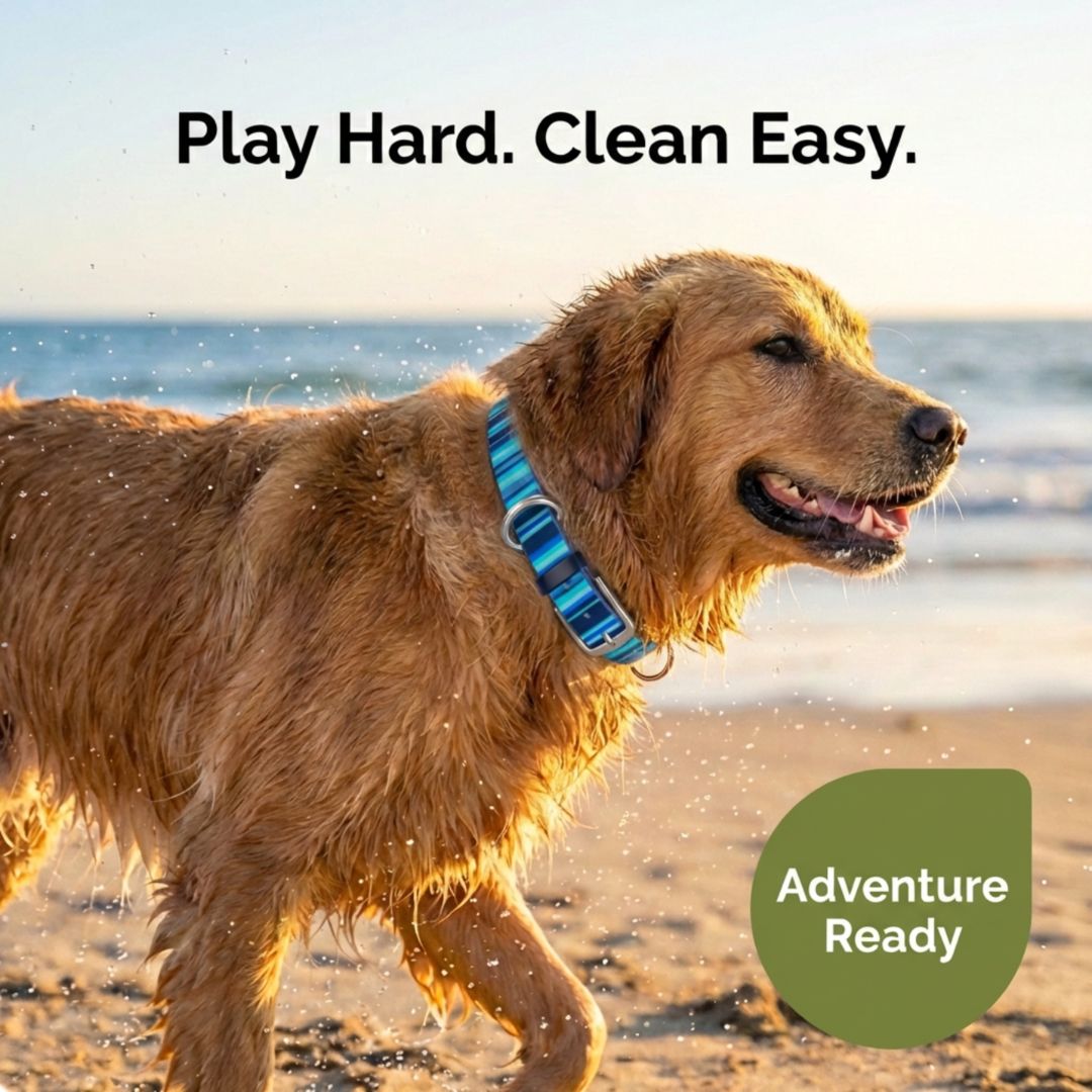 Rubyloo Waterproof Dog Collar – Washable, Stink-Proof & Quick-Dry