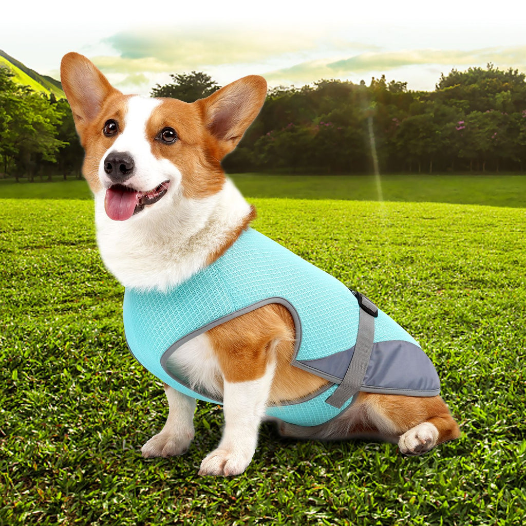 Cooling Vest for Dogs – Lightweight Summer Pet Wear