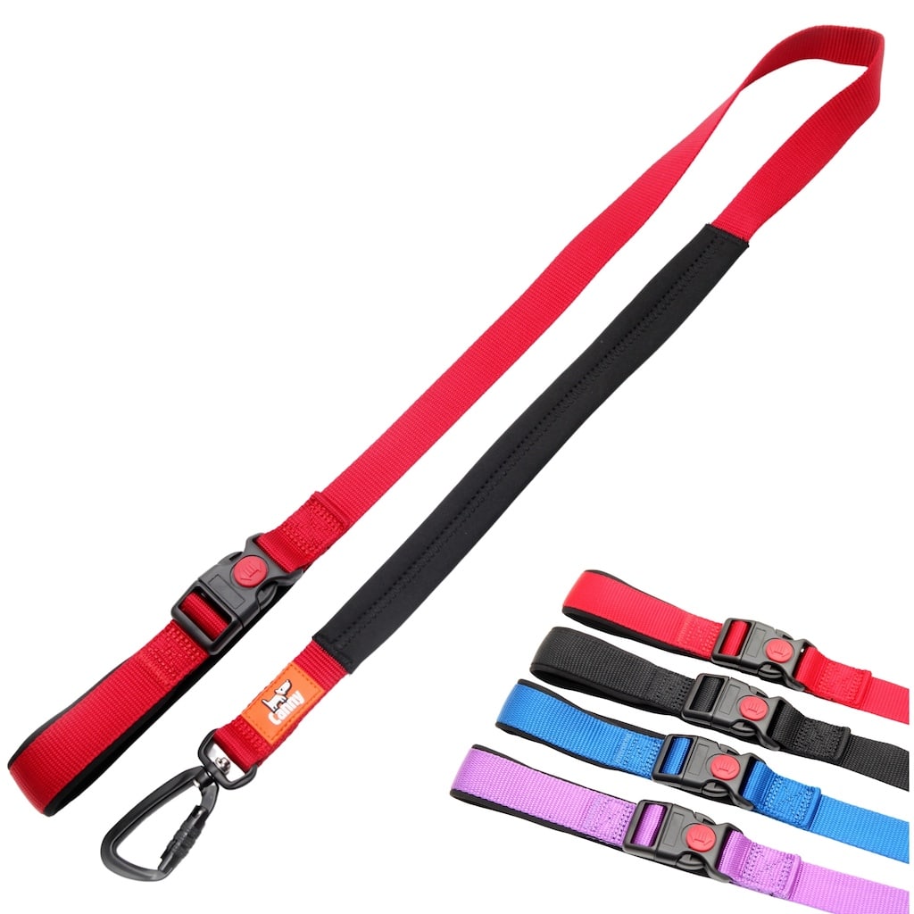 Canny CONNECT Anti-Escape Leash
