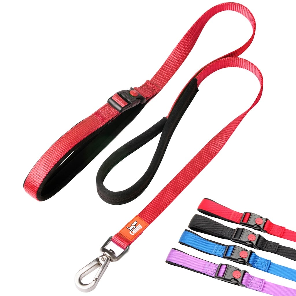 Canny CONNECT Anti-Escape Leash