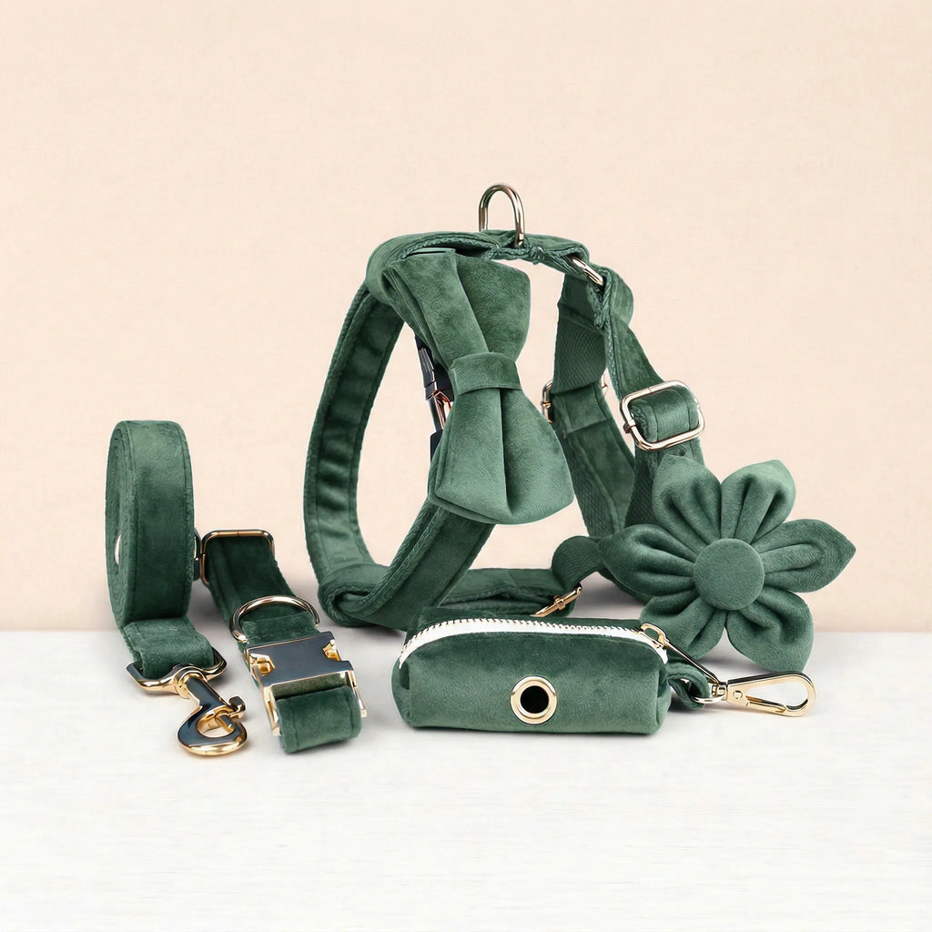 Forest Green Velvet Dog Harness Set – Personalized No-Pull Harness, Leash & Collar