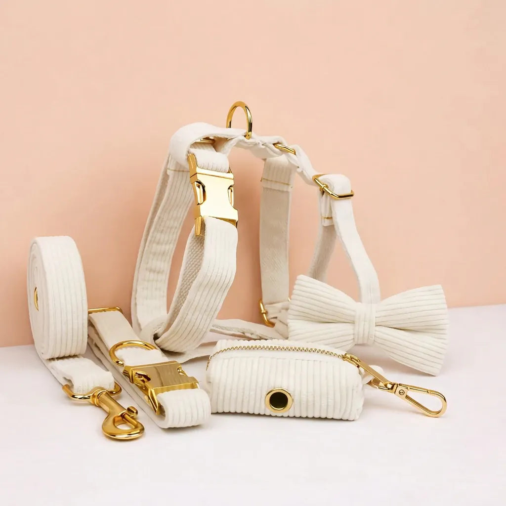 White Corduroy Dog Harness Set – Personalized No-Pull Harness, Leash & Collar