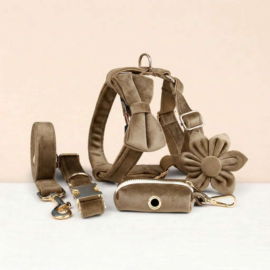 Khaki Velvet Dog Harness Set – Personalized No-Pull Harness, Leash & Collar