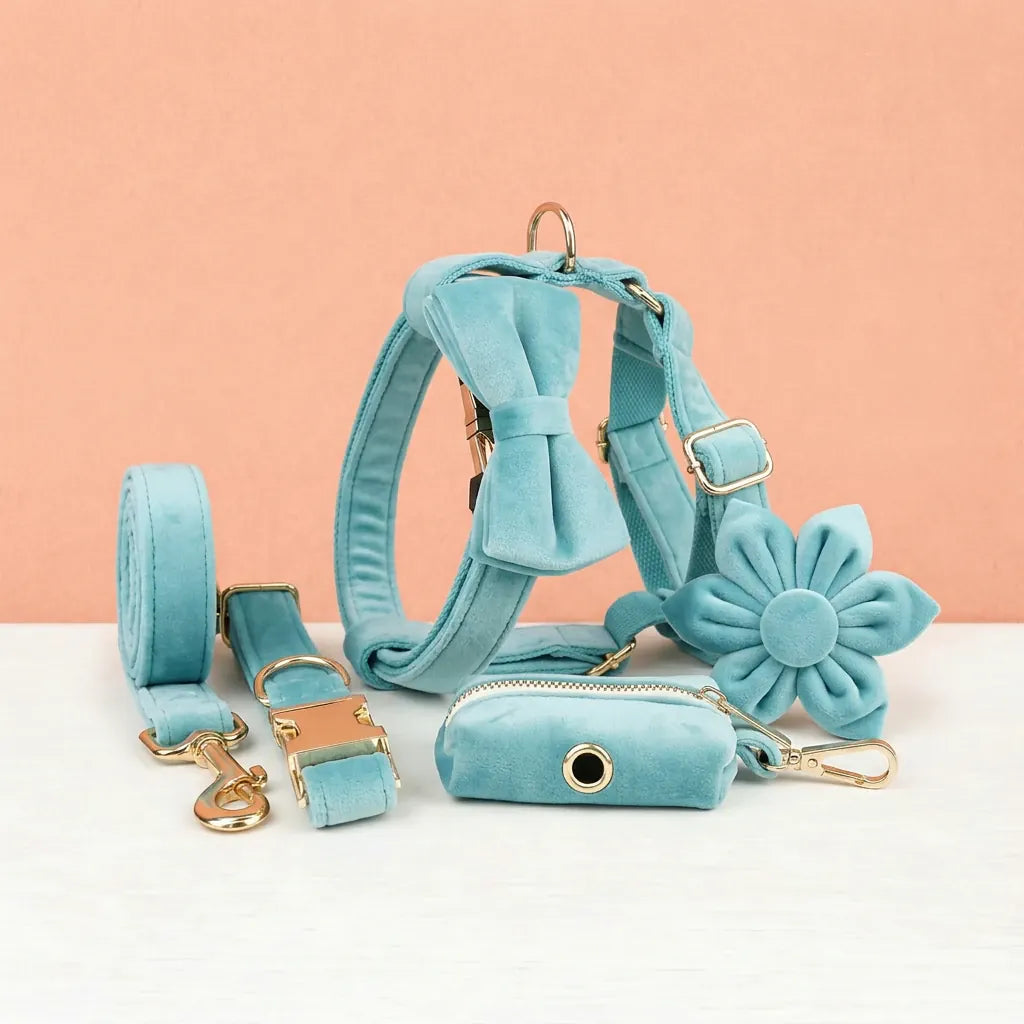 Turquoise Stone Velvet Dog Harness Set – Personalized No-Pull Harness, Leash & Collar