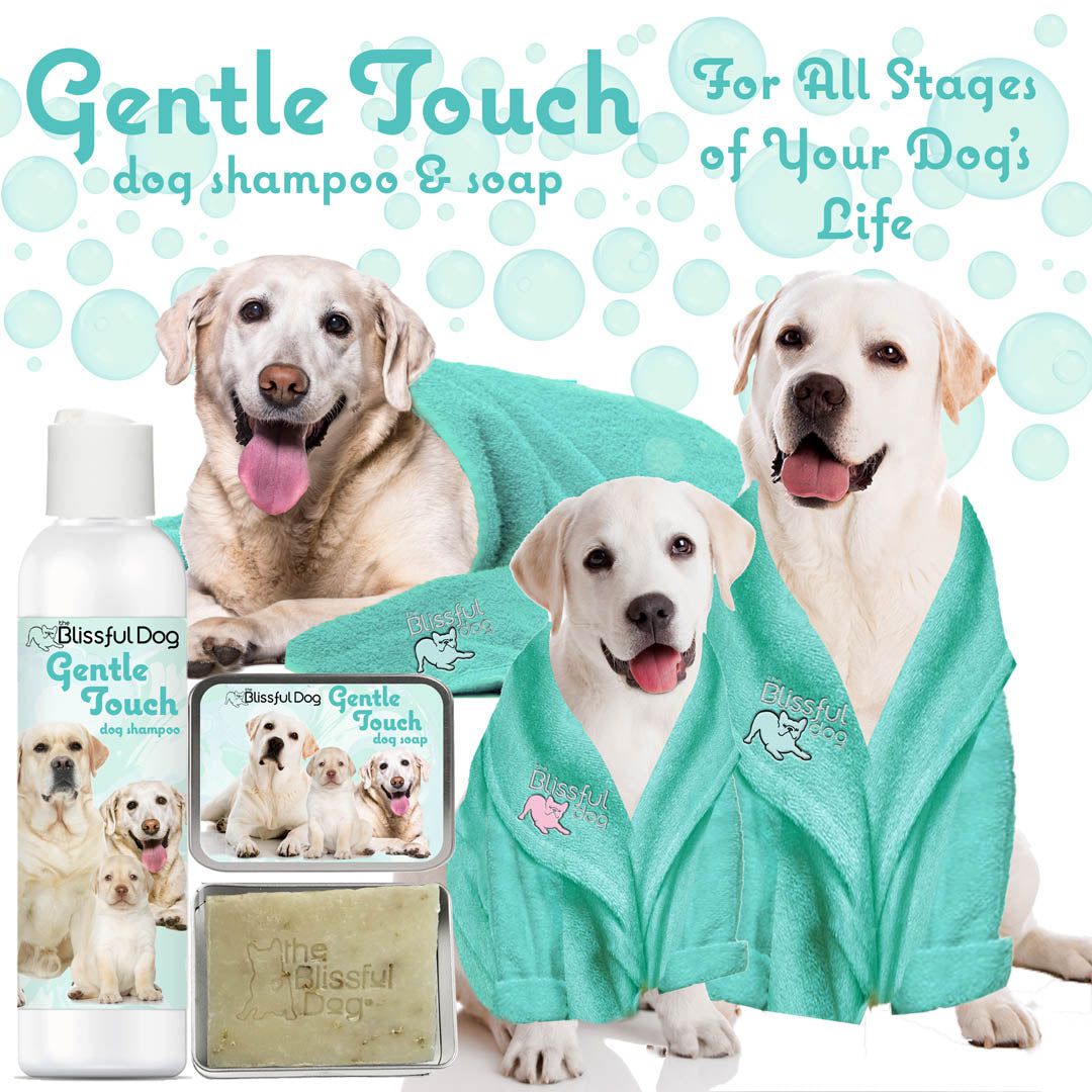 Gentle Touch Dog Shampoo & Soap – Mild Formula for Sensitive Dogs | EverstockPets