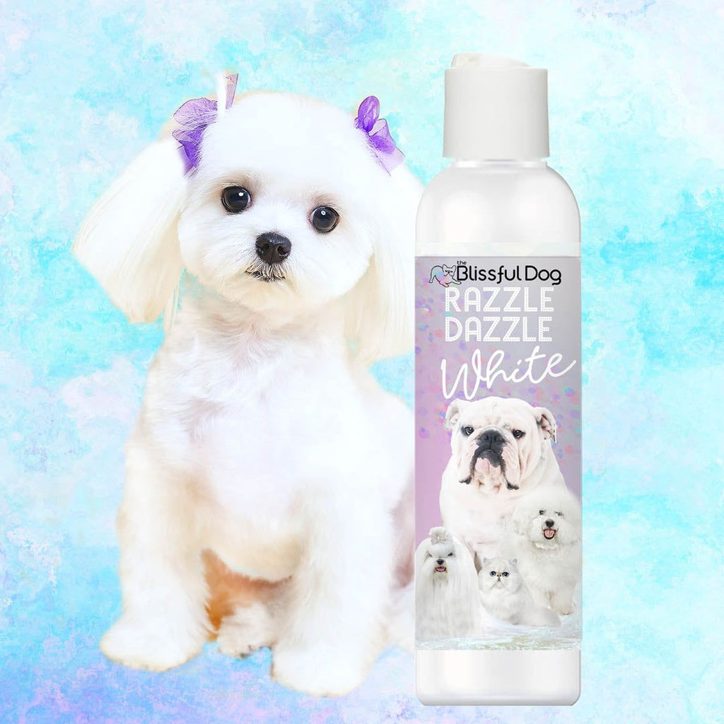 Razzle Dazzle White Pet Shampoo – Whitening Shampoo for Dogs & Cats | EverstockPets