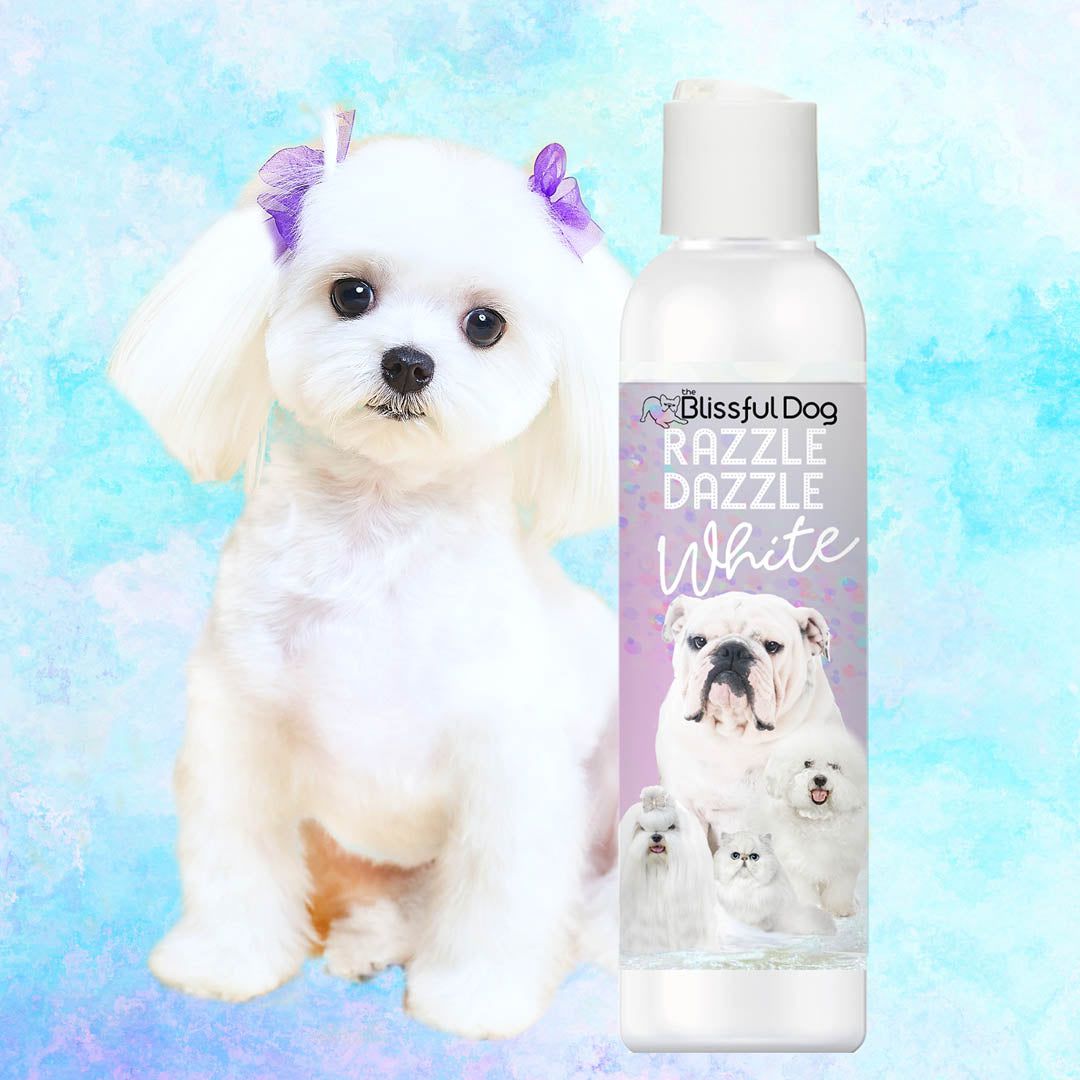 Razzle Dazzle White Pet Shampoo – Whitening Shampoo for Dogs & Cats | EverstockPets