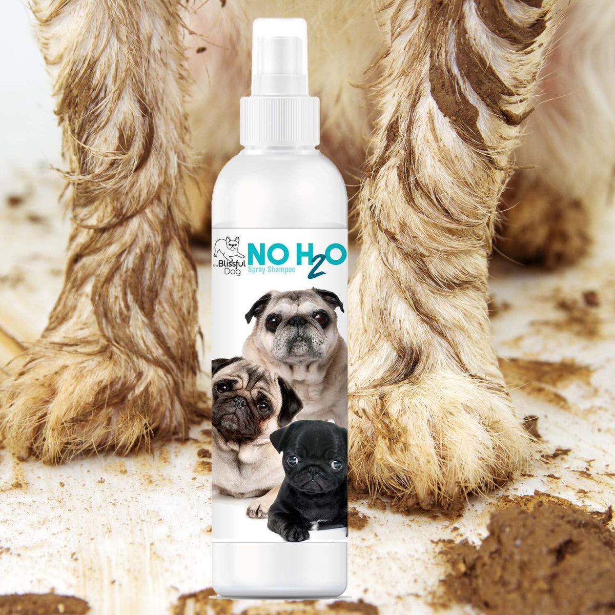 No H2O Spray Pet Shampoo – Waterless Dry Shampoo for Dogs & Cats | EverstockPets