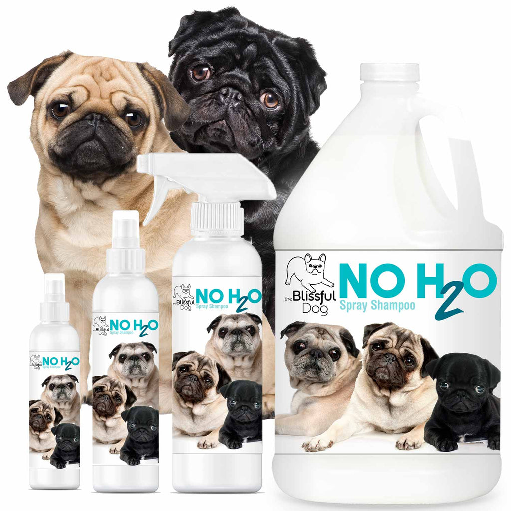 No H2O Spray Pet Shampoo – Waterless Dry Shampoo for Dogs & Cats | EverstockPets