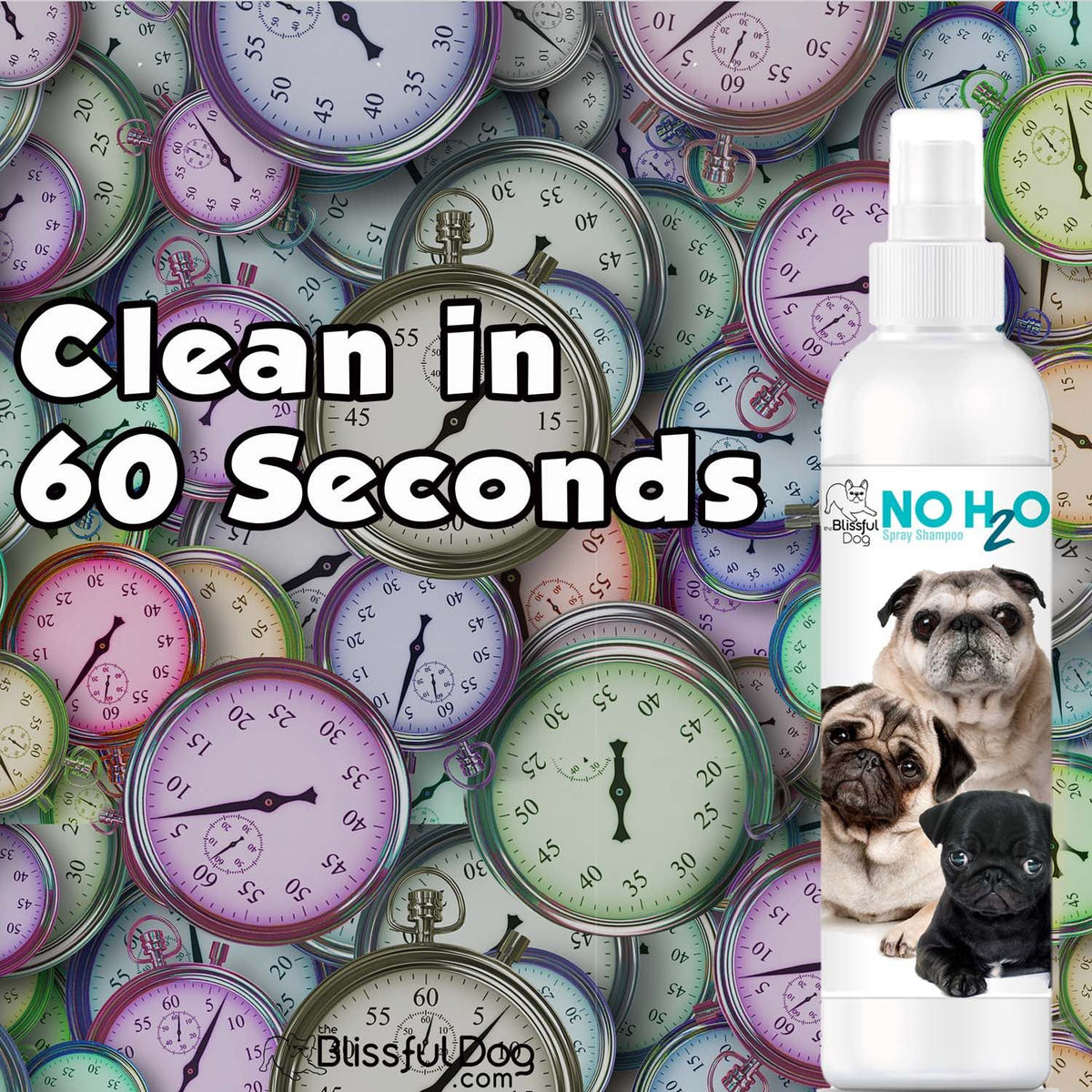 No H2O Spray Pet Shampoo – Waterless Dry Shampoo for Dogs & Cats | EverstockPets