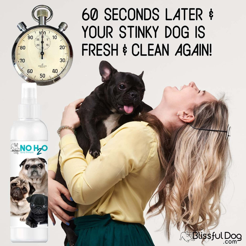 No H2O Spray Pet Shampoo – Waterless Dry Shampoo for Dogs & Cats | EverstockPets