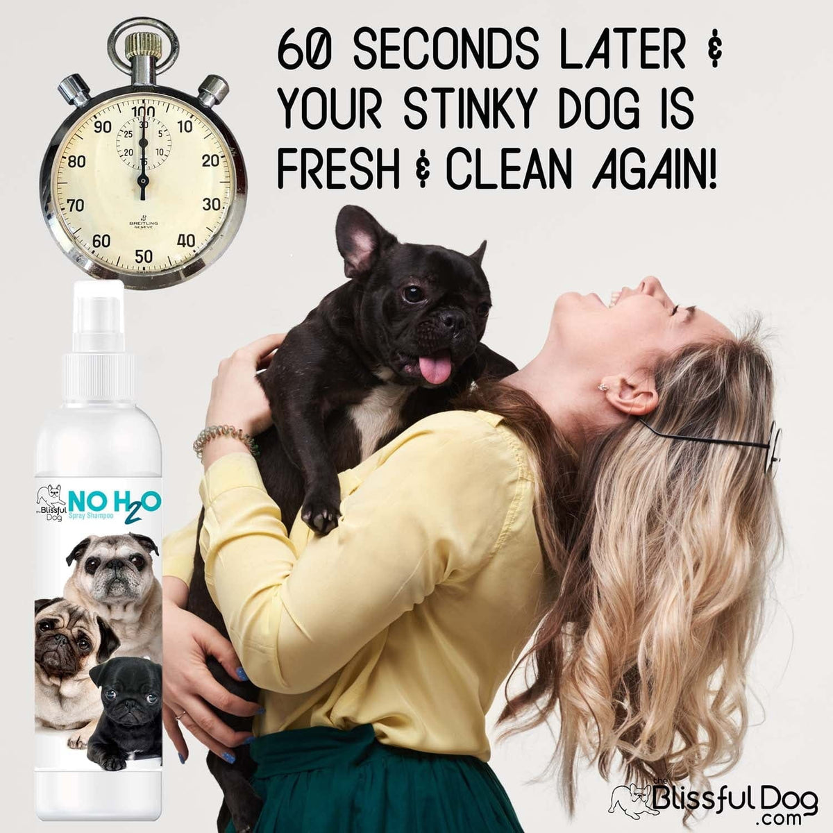 No H2O Spray Pet Shampoo – Waterless Dry Shampoo for Dogs & Cats | EverstockPets