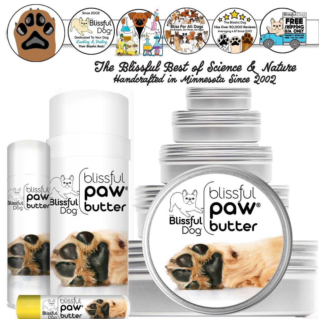 Blissful Paw® Butter – Moisturizes & Heals Rough, Dry Dog Paw Pads | EverstockPets