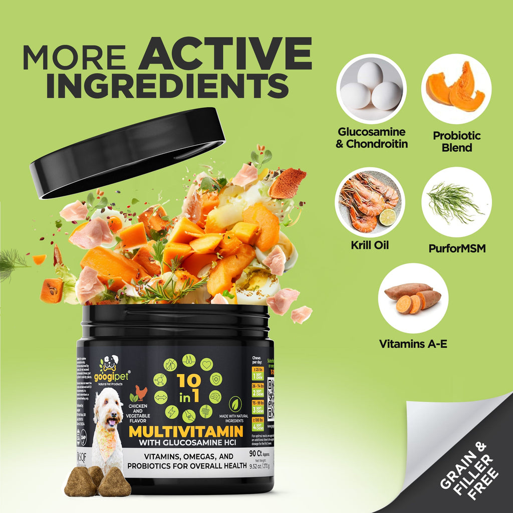 Googipet 10-in-1 Multivitamin Chews for Dogs – Chicken Flavor Daily Supplement
