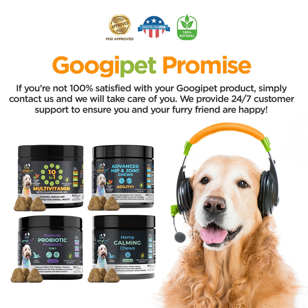 Googipet 10-in-1 Multivitamin Chews for Dogs – Chicken Flavor Daily Supplement