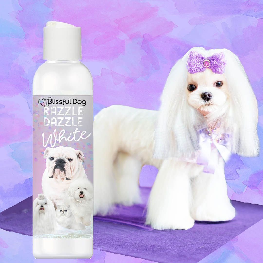 Razzle Dazzle White Pet Shampoo – Whitening Shampoo for Dogs & Cats | EverstockPets