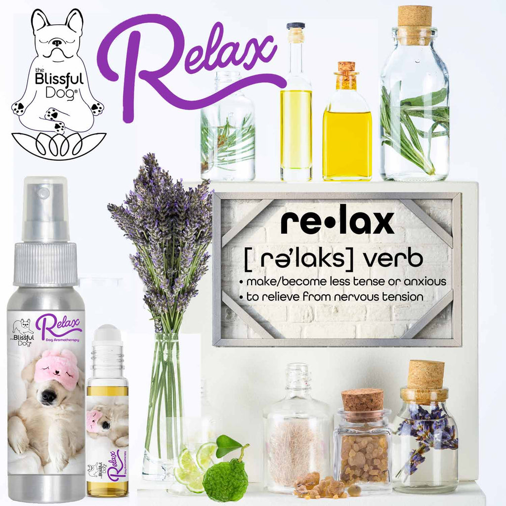 3 Cute Puppies Relax Dog Aromatherapy Spray | EverstockPets